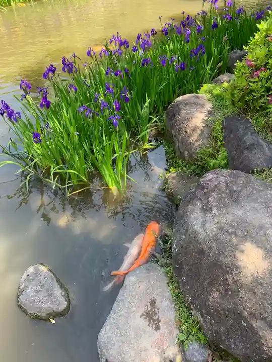 西宮神社の庭園