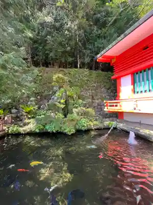 熊野那智大社(和歌山県)