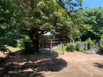 瀧水寺(千葉県)