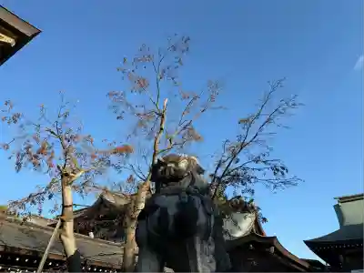 寒川神社(神奈川県)