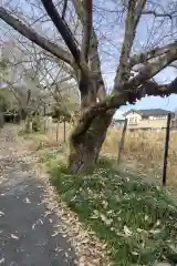 御嶽神社の自然