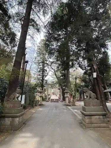 岩槻久伊豆神社(埼玉県)