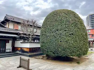 龍光寺(東京都)