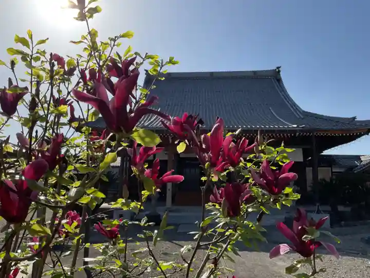 真照寺(岐阜県)