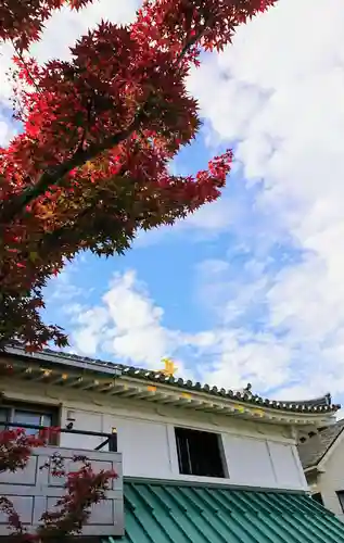 寿量山　速成寺の庭園