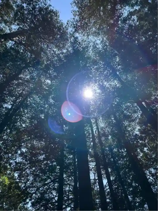 北海道神宮(北海道)