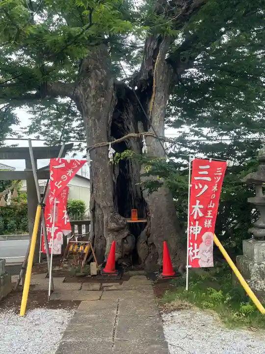 三ツ木神社(埼玉県)