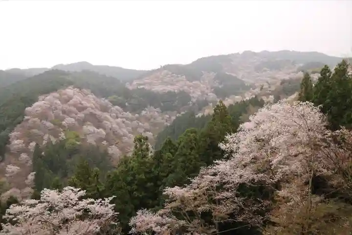 金峯山寺の自然