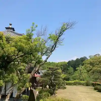達磨堂 円福寺 (京都府)