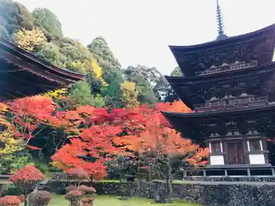 西明寺(滋賀県)