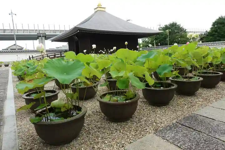 喜光寺のその他建物
