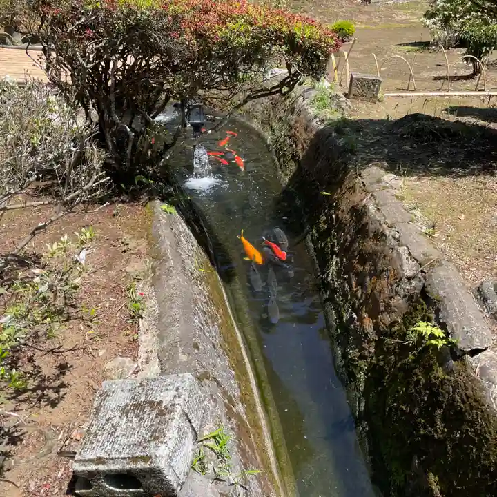 神野寺(千葉県)