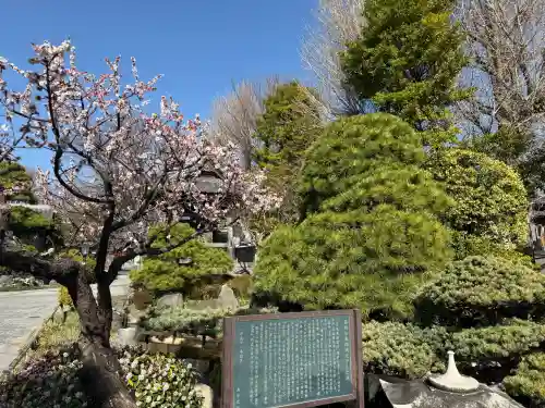 大蓮寺の{uncategorized: "未分類", other: "その他", undefined: "問題あり", building: "その他建物", grave: "お墓", sacred_gate: "鳥居", guardian: "狛犬", statue: "像", buddha: "仏像", history: "歴史", nature: "自然", garden: "庭園", animal: "動物", pagoda: "塔", temizu: "手水舎", mountain_gate: "山門・神門", sanctuary: "本殿・本堂", subordinate: "末社・摂社", art: "芸術", scenery: "景色", jizo: "地蔵", ema: "絵馬", goshuin: "御朱印", omikuji: "おみくじ", items: "授与品その他", amulet: "お守り", goshuincho: "御朱印帳", eats: "食事", festival: "お祭り", votive_dance: "神楽", shichigosan: "七五三参", wedding: "結婚式", experience: "体験その他", initially: "初詣", around: "周辺", anti_infection: "感染症対策"}