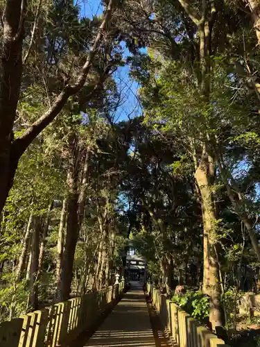 八幡社(千葉県)