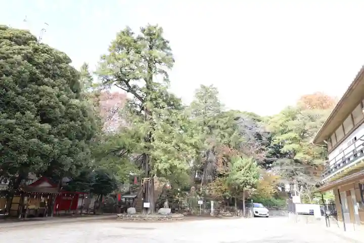 駒込富士神社(東京都)