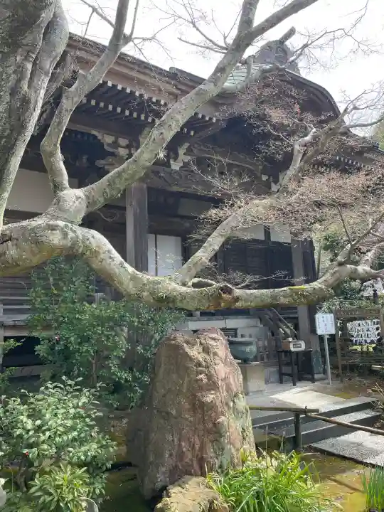 妙法寺の{uncategorized: "未分類", other: "その他", undefined: "問題あり", building: "その他建物", grave: "お墓", sacred_gate: "鳥居", guardian: "狛犬", statue: "像", buddha: "仏像", history: "歴史", nature: "自然", garden: "庭園", animal: "動物", pagoda: "塔", temizu: "手水舎", mountain_gate: "山門・神門", sanctuary: "本殿・本堂", subordinate: "末社・摂社", art: "芸術", scenery: "景色", jizo: "地蔵", ema: "絵馬", goshuin: "御朱印", omikuji: "おみくじ", items: "授与品その他", amulet: "お守り", goshuincho: "御朱印帳", eats: "食事", festival: "お祭り", votive_dance: "神楽", shichigosan: "七五三参", wedding: "結婚式", experience: "体験その他", initially: "初詣", around: "周辺", anti_infection: "感染症対策"}