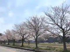 光明寺（馬木不動尊）の自然