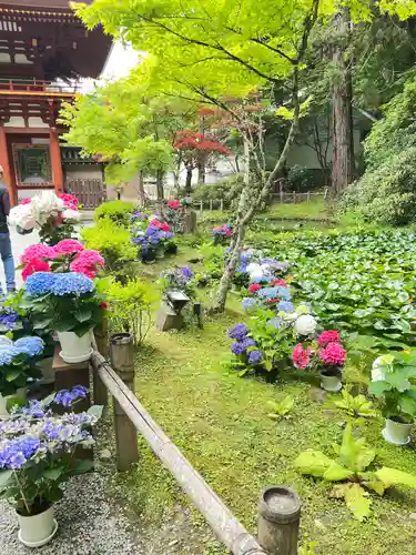 室生寺(奈良県)
