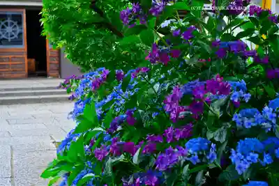 宝祥寺(東京都)