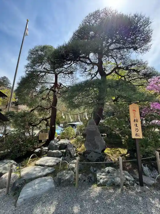 宝登山神社(埼玉県)