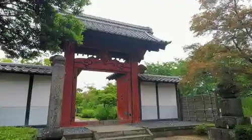 蓮光寺の山門