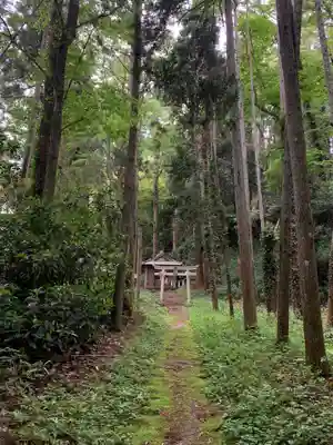 嶋戸神社(千葉県)