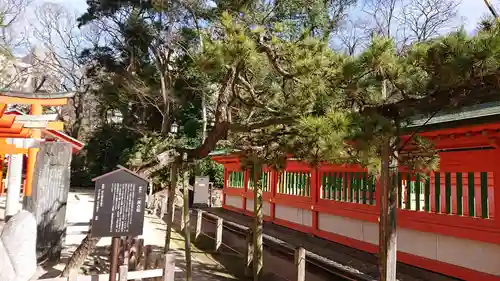 住吉神社の自然