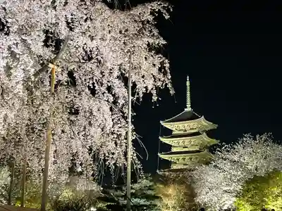 東寺（教王護国寺）(京都府)