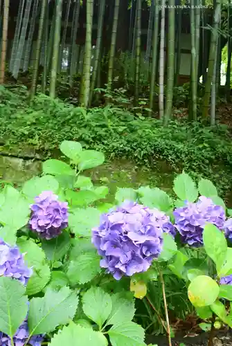 円覚寺(神奈川県)