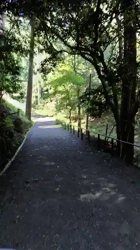 鞍馬寺(京都府)