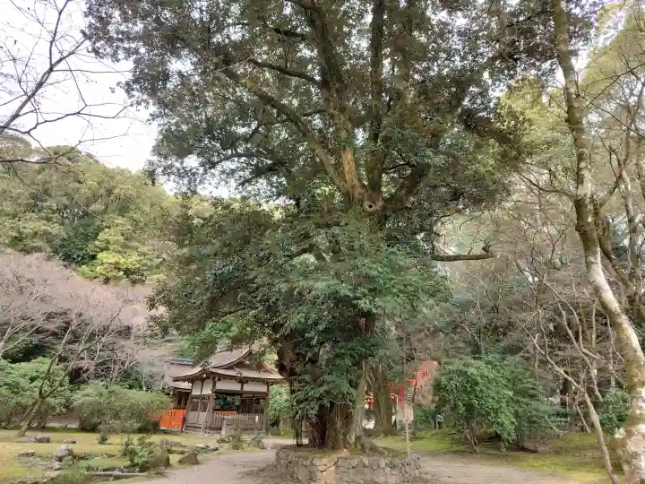 賀茂別雷神社(上賀茂神社)の{uncategorized: "未分類", other: "その他", undefined: "問題あり", building: "その他建物", grave: "お墓", sacred_gate: "鳥居", guardian: "狛犬", statue: "像", buddha: "仏像", history: "歴史", nature: "自然", garden: "庭園", animal: "動物", pagoda: "塔", temizu: "手水舎", mountain_gate: "山門・神門", sanctuary: "本殿・本堂", subordinate: "末社・摂社", art: "芸術", scenery: "景色", jizo: "地蔵", ema: "絵馬", goshuin: "御朱印", omikuji: "おみくじ", items: "授与品その他", amulet: "お守り", goshuincho: "御朱印帳", eats: "食事", festival: "お祭り", votive_dance: "神楽", shichigosan: "七五三参", wedding: "結婚式", experience: "体験その他", initially: "初詣", around: "周辺", anti_infection: "感染症対策"}