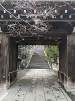 法輪寺(京都府)