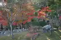 伊勢の国 四天王寺の庭園