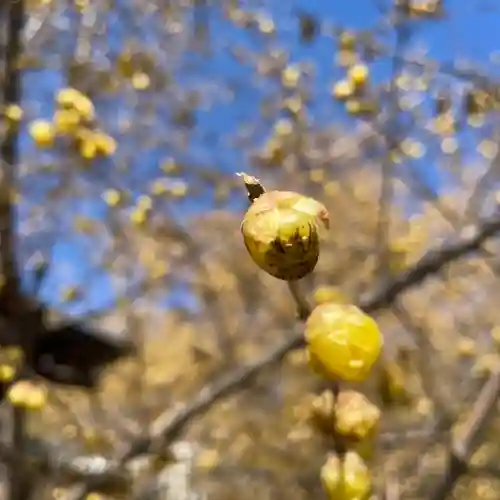 横浜　西方寺の自然
