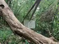 相馬高神社(千葉県)
