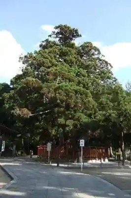 香椎宮(福岡県)