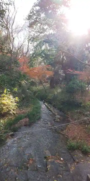 賀茂御祖神社(下鴨神社)(京都府)