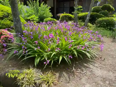 光寿院(宮城県)