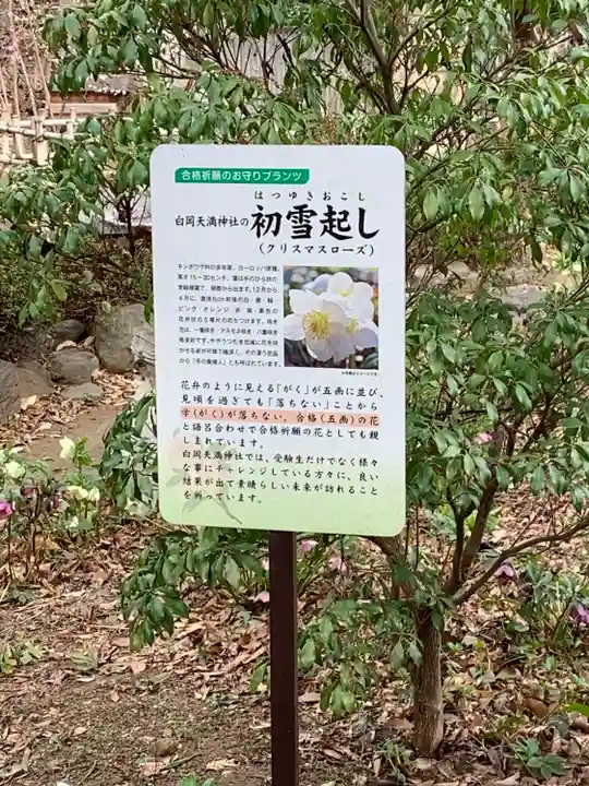 白岡八幡神社(埼玉県)