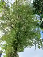 浄円寺(福島県)