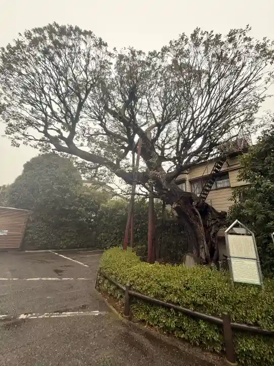 延命院の{uncategorized: "未分類", other: "その他", undefined: "問題あり", building: "その他建物", grave: "お墓", sacred_gate: "鳥居", guardian: "狛犬", statue: "像", buddha: "仏像", history: "歴史", nature: "自然", garden: "庭園", animal: "動物", pagoda: "塔", temizu: "手水舎", mountain_gate: "山門・神門", sanctuary: "本殿・本堂", subordinate: "末社・摂社", art: "芸術", scenery: "景色", jizo: "地蔵", ema: "絵馬", goshuin: "御朱印", omikuji: "おみくじ", items: "授与品その他", amulet: "お守り", goshuincho: "御朱印帳", eats: "食事", festival: "お祭り", votive_dance: "神楽", shichigosan: "七五三参", wedding: "結婚式", experience: "体験その他", initially: "初詣", around: "周辺", anti_infection: "感染症対策"}