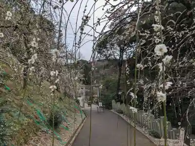 大縣神社(愛知県)