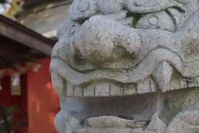 琴崎八幡宮の狛犬