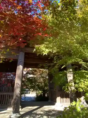遍照院の山門・神門