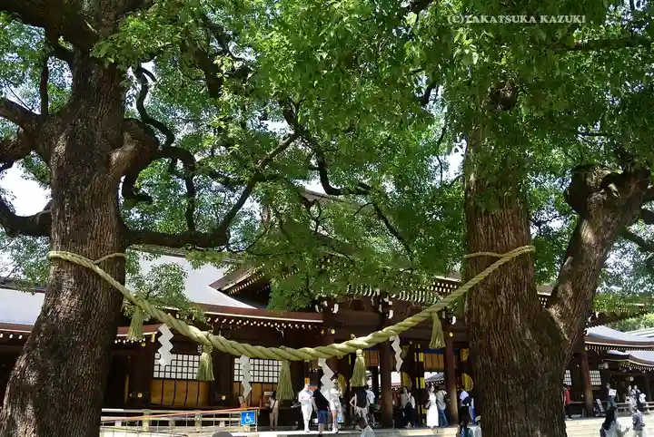 明治神宮(東京都)