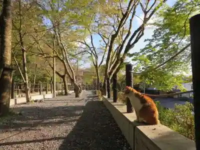熊野若王子神社(京都府)