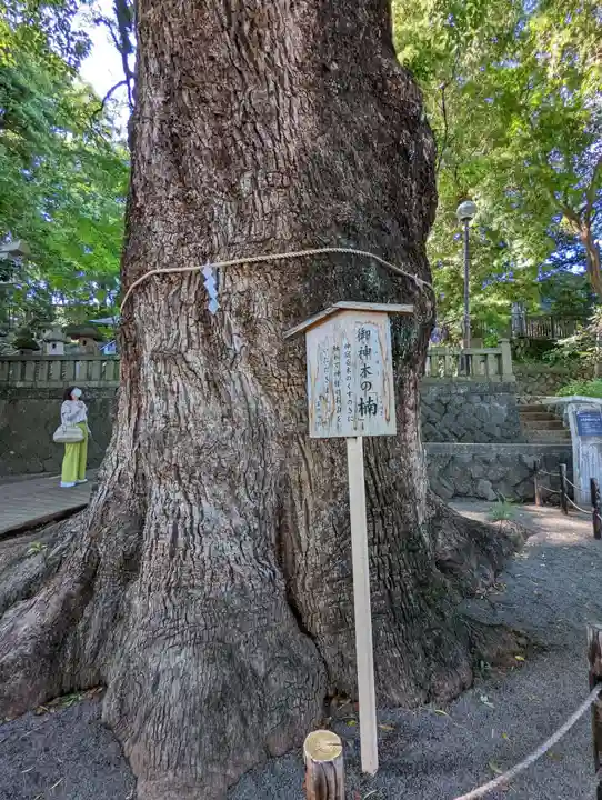 五所神社(神奈川県)