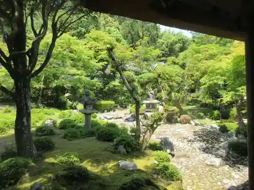 金剛寺の庭園