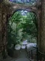 地主神社(桑の川の鳥居杉)(高知県)