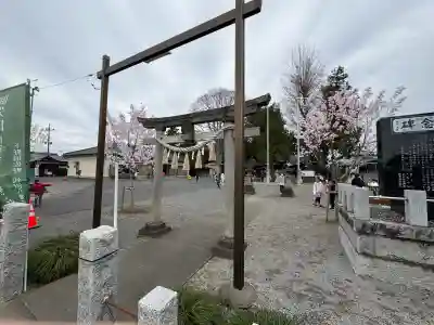 浅沼八幡宮(栃木県)